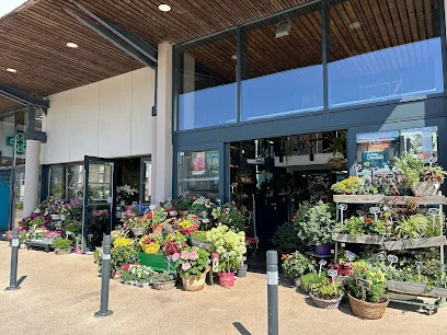 A Fleur d'Eau | Fleuriste Brest