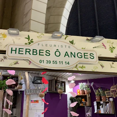 Herbes Ô Anges