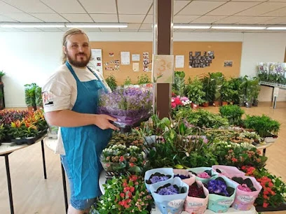 Le temps des plantes