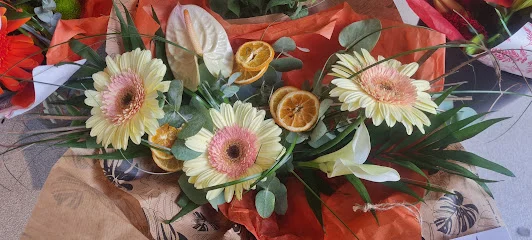 Soleil et Fleurs Hyères