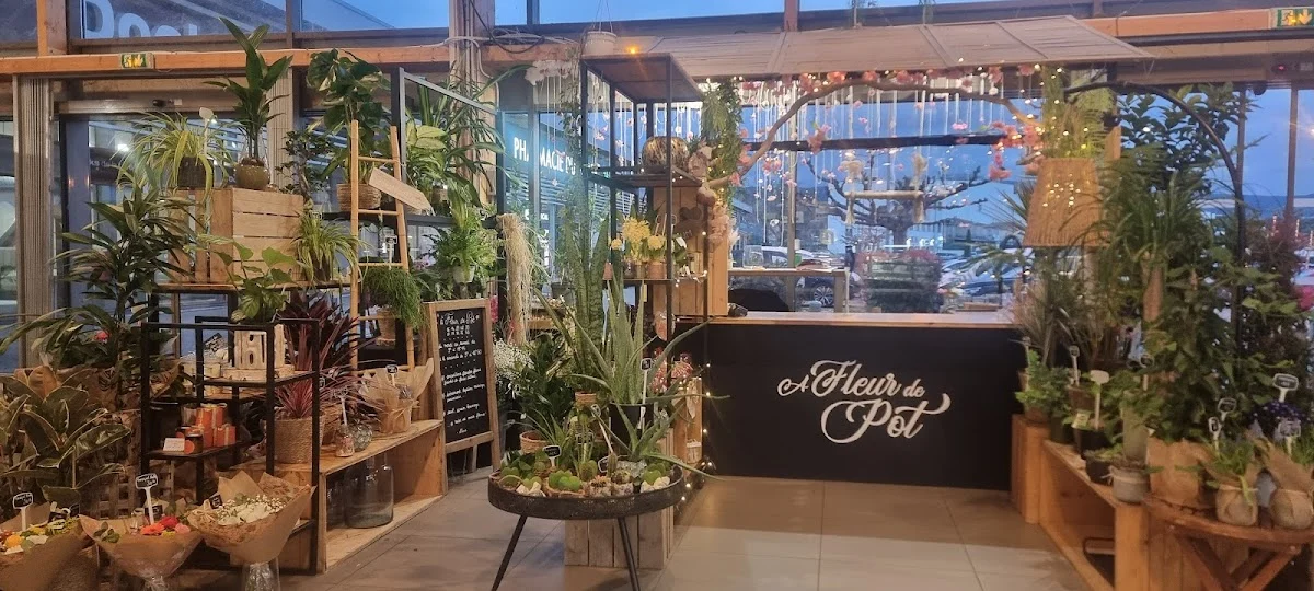 A Fleur de Pot - 2