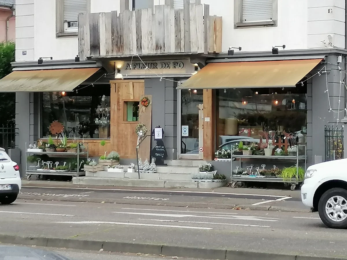 A fleur de pot - 2