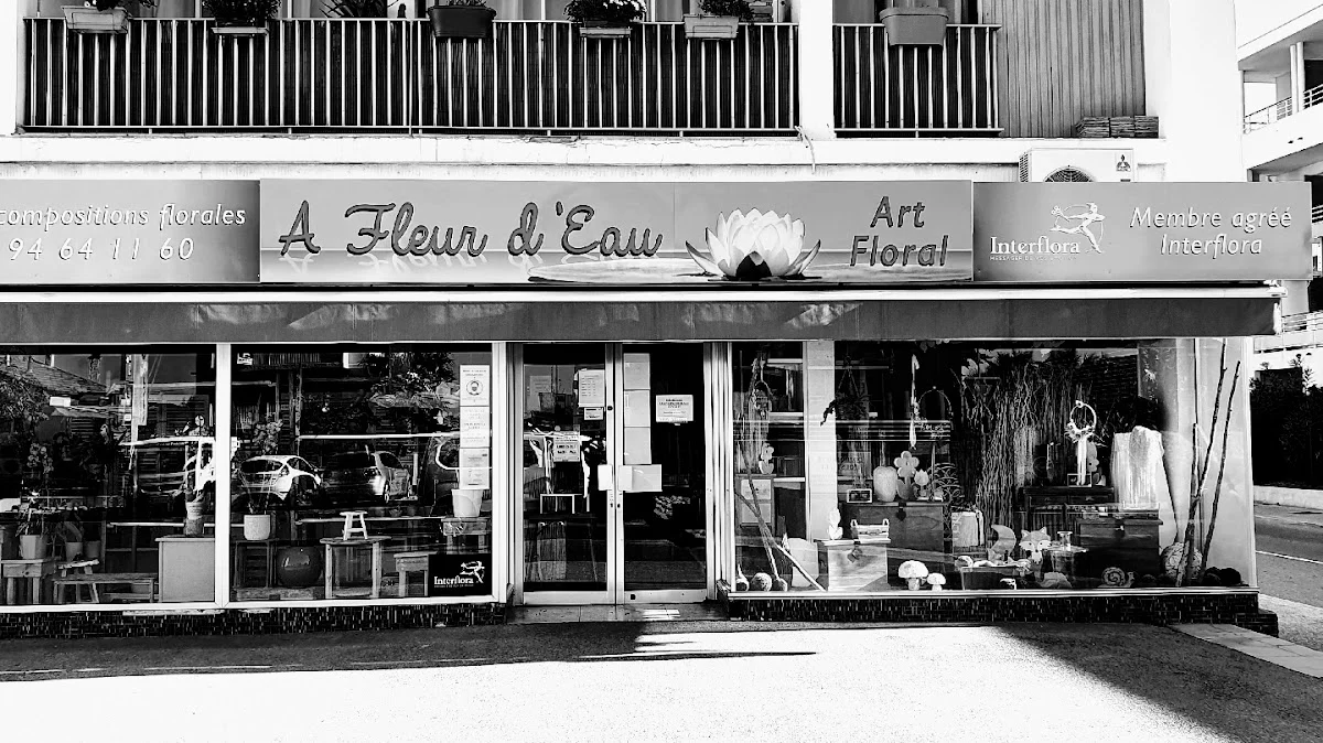 A Fleur d'Eau | Fleuriste Six-Fours-les-Plages - 3