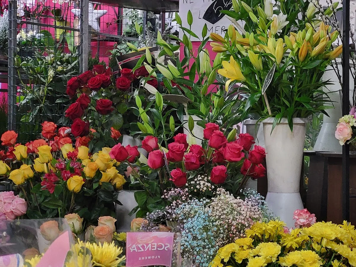 A Fleurs De Pot - 2