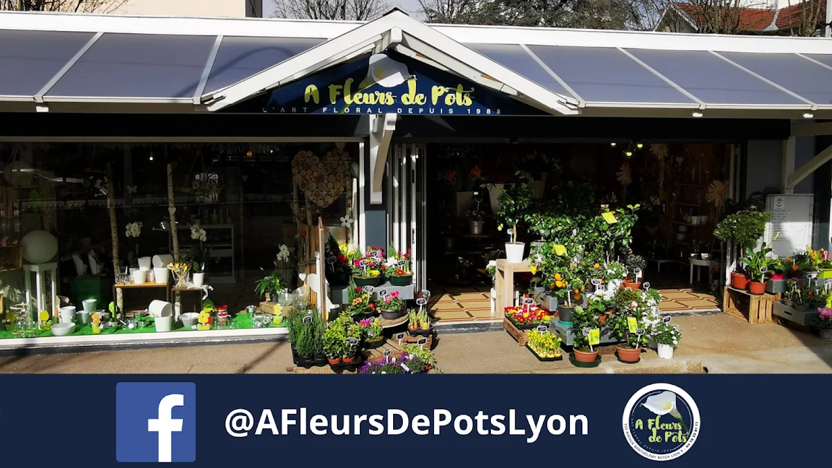 A Fleurs de Pots Lyon 9ème - 3