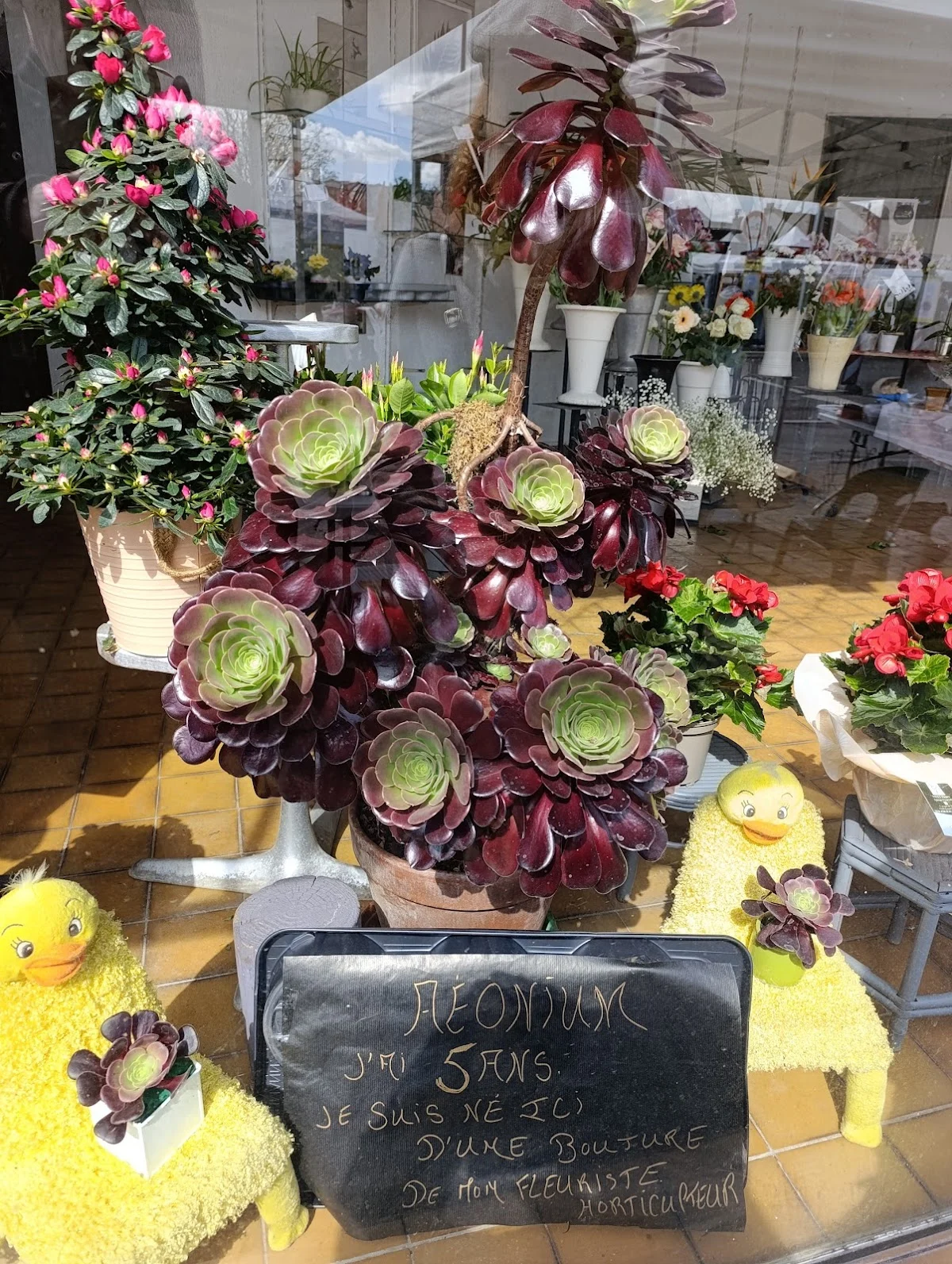 A La Bonne Graine - 2