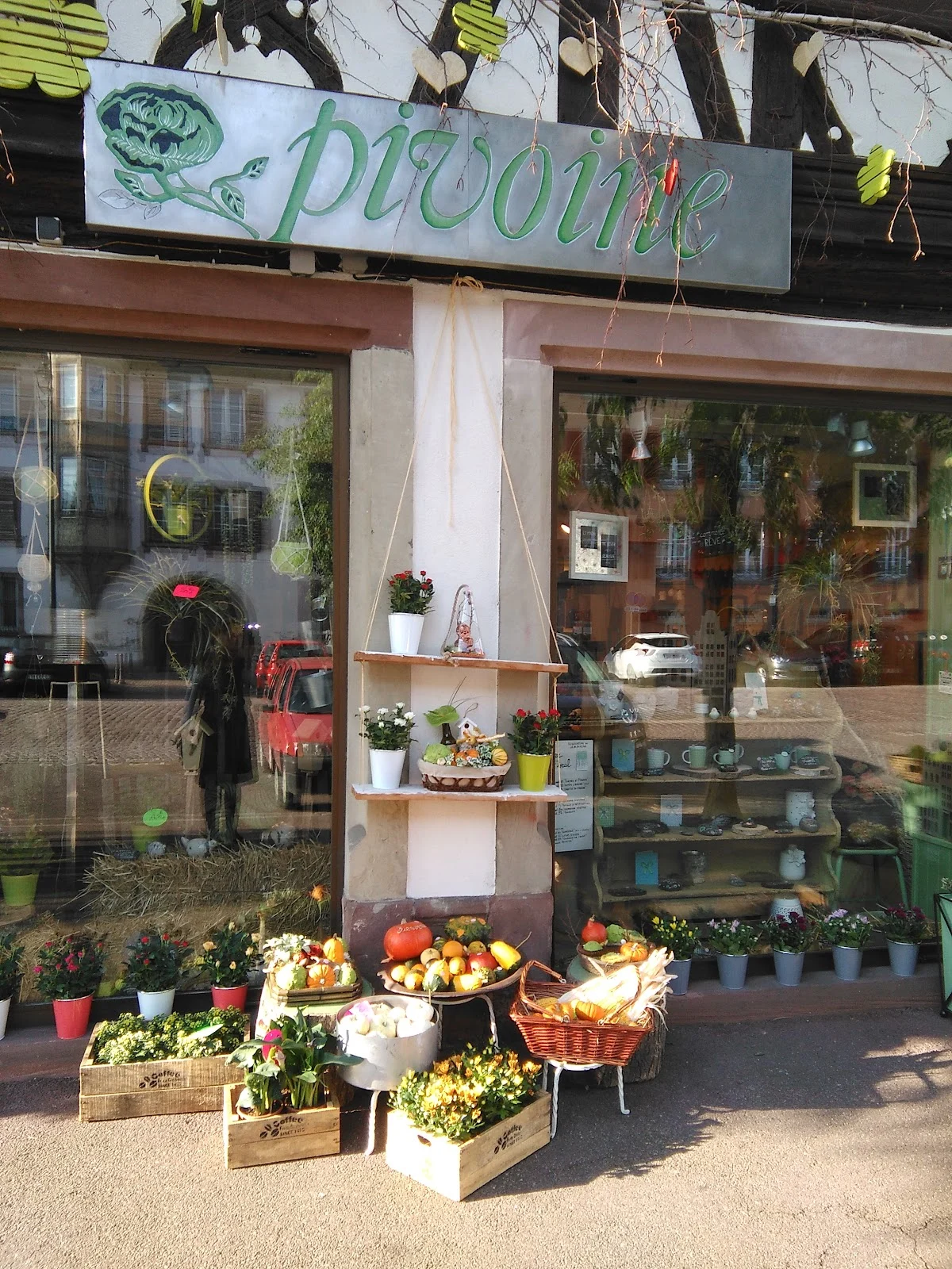 A LA PIVOINE - Fleuriste Colmar - 4