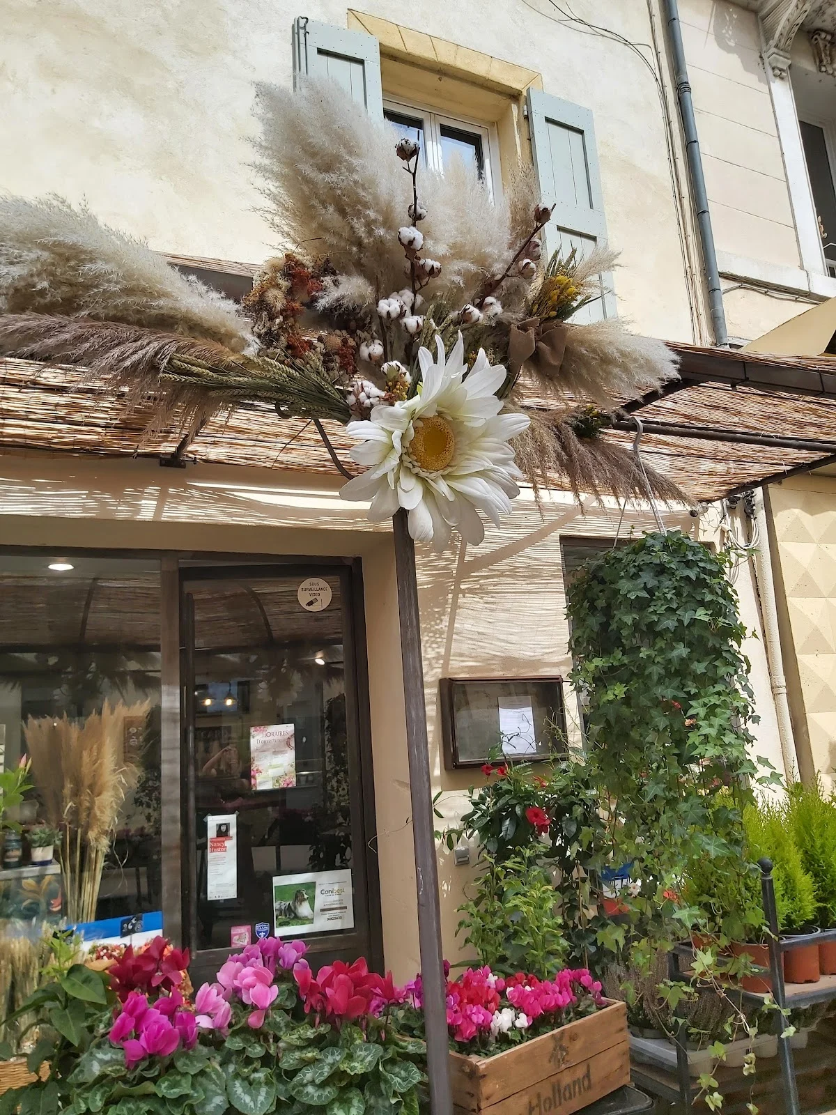 A La Rose d'Or - 4