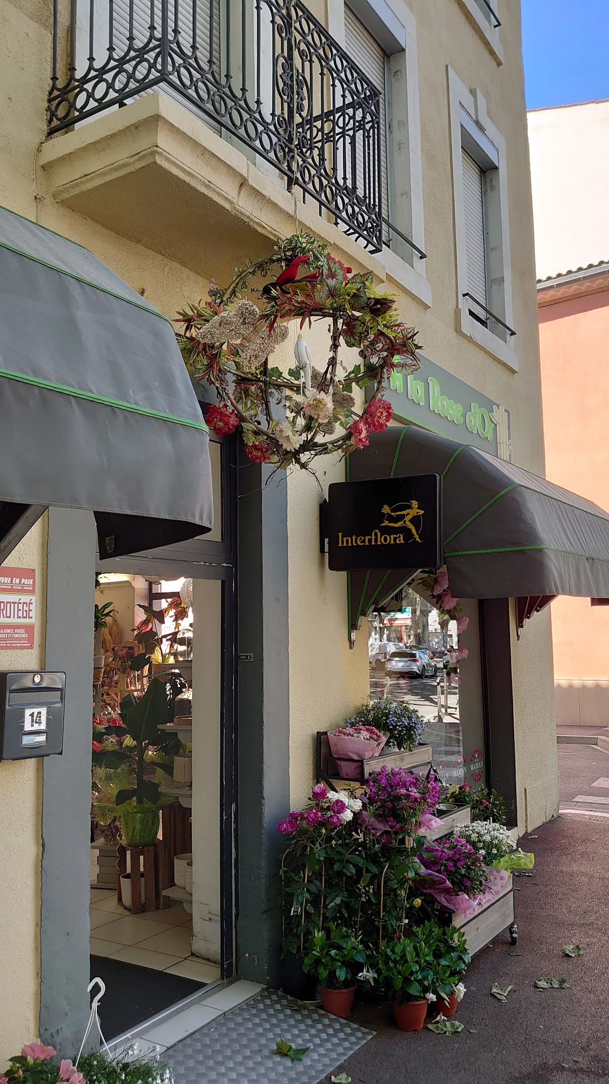 A La Rose d'Or | Fleuriste Narbonne