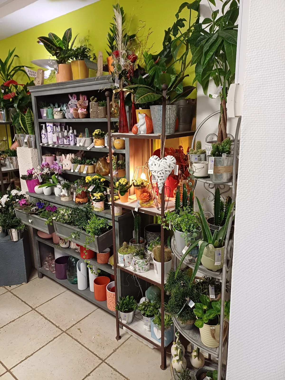 A La Violette De Toulouse | Fleuriste Saint-Nazaire - 2