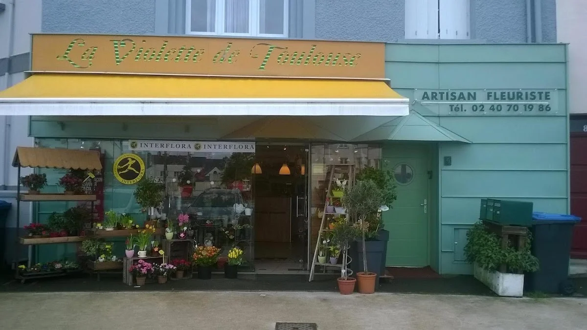 A La Violette De Toulouse | Fleuriste Saint-Nazaire - 3