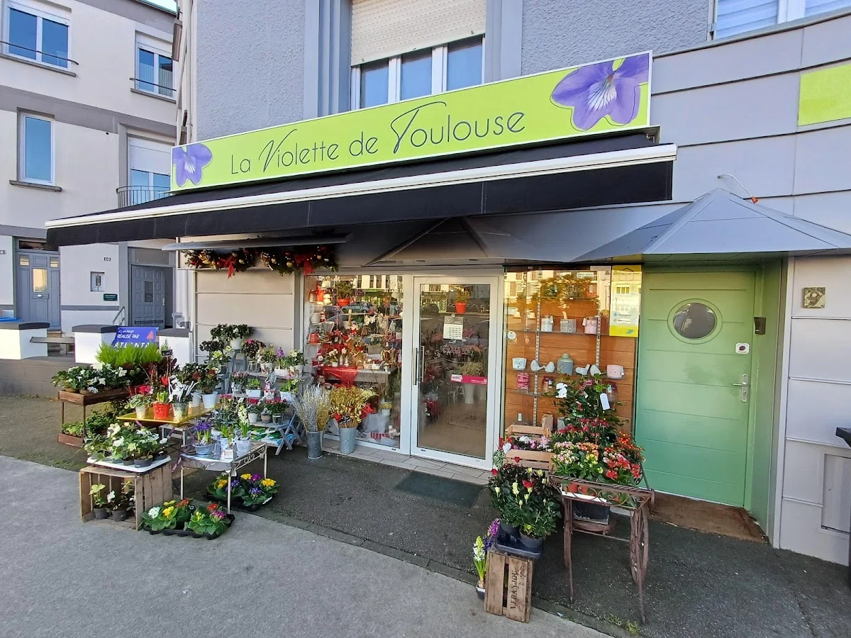 A La Violette De Toulouse | Fleuriste Saint-Nazaire