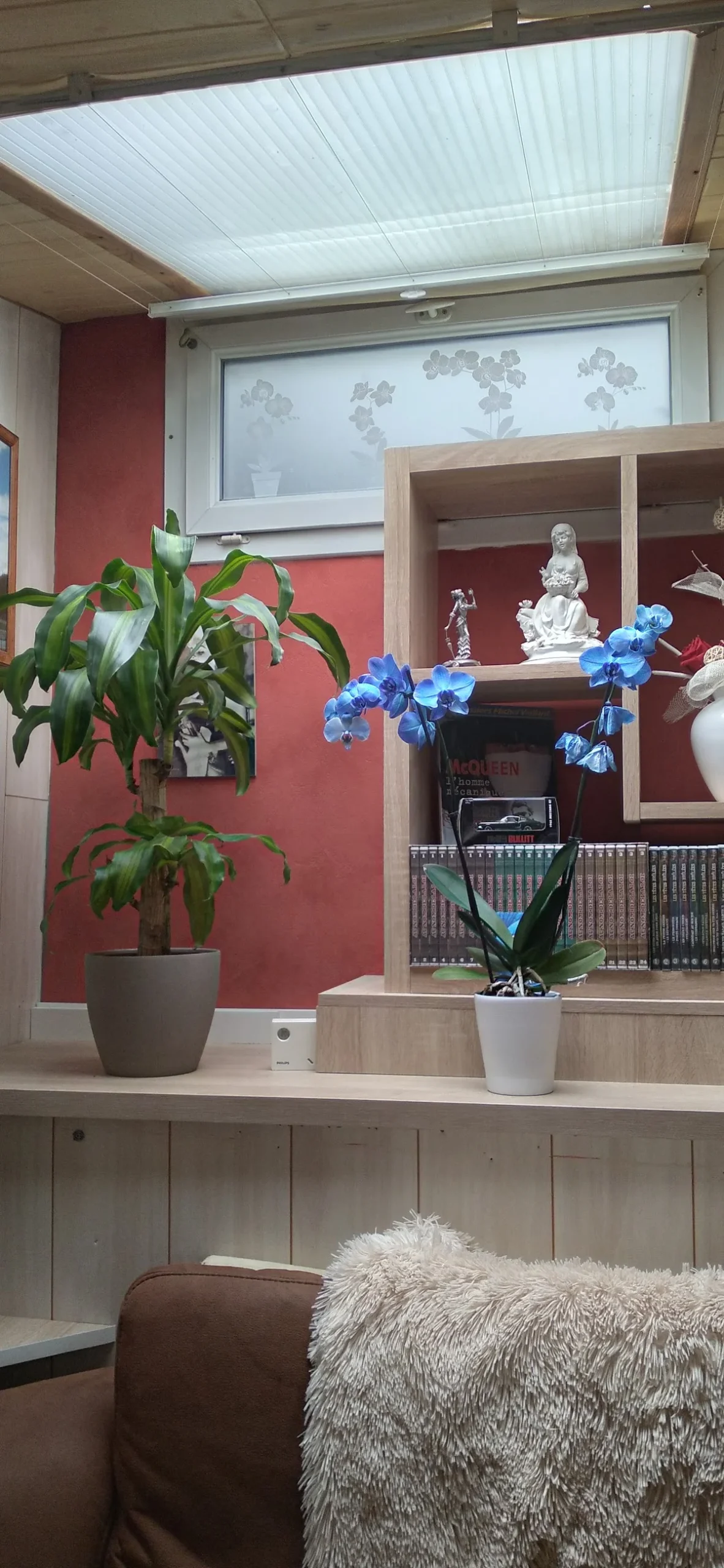 Absolument Fleurs - 2