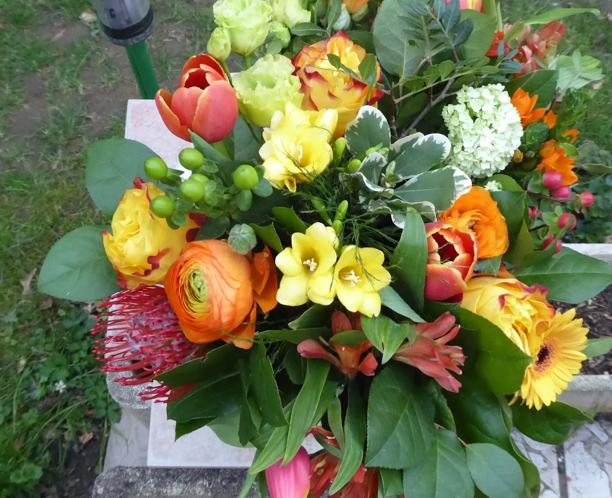 Abutilon, Artisan Fleuriste - 3