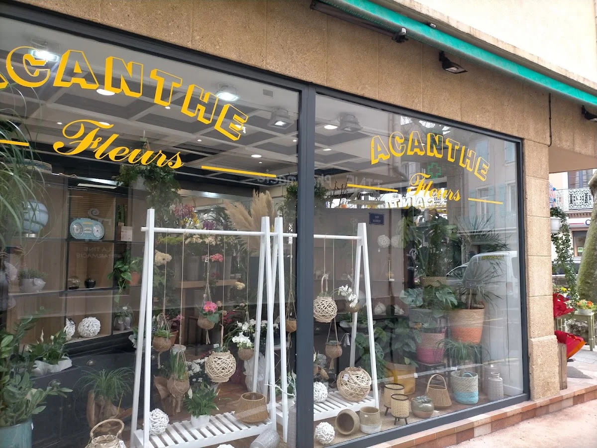 Acanthe Fleurs - 2