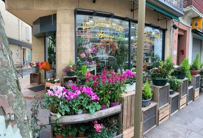 Acanthe Fleurs - 6