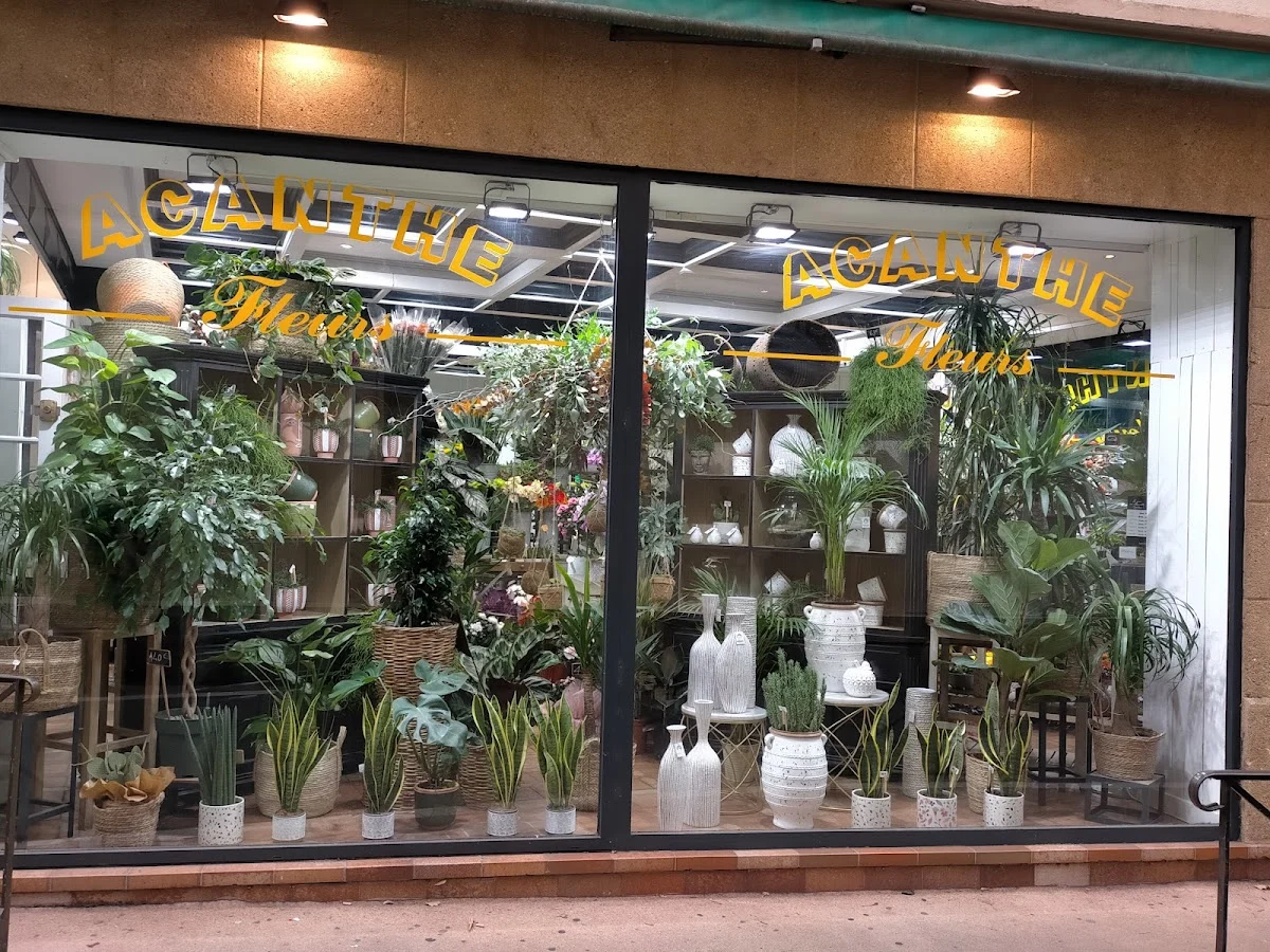 Acanthe Fleurs