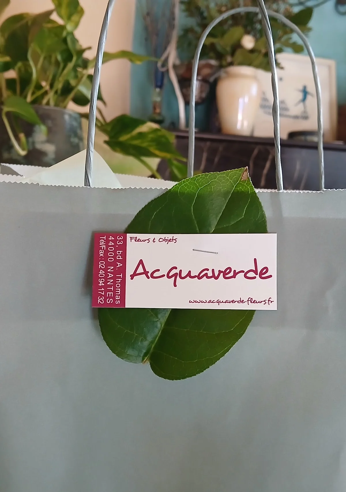 Acquaverde - 2