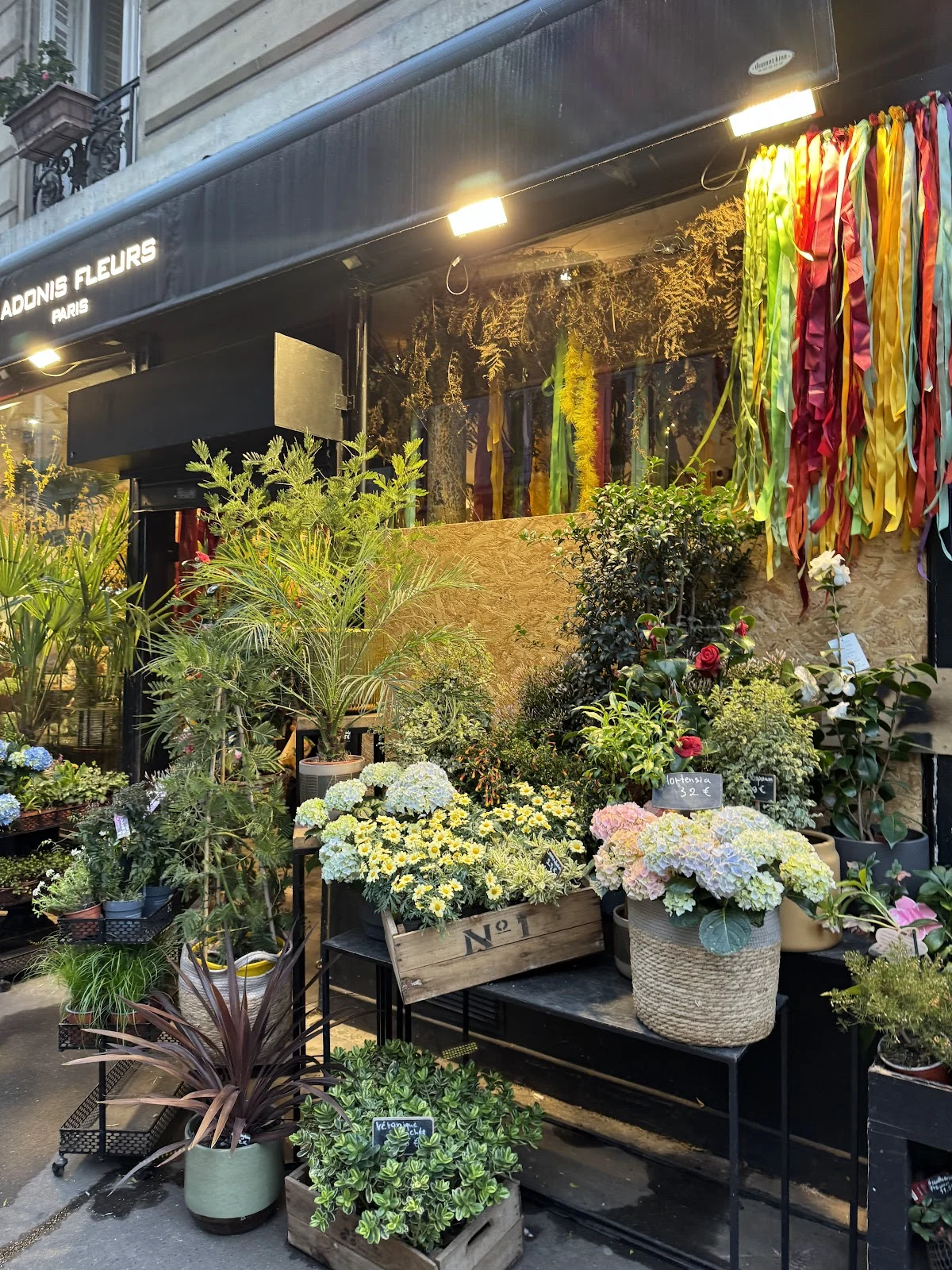 Adonis fleurs Paris | Fleuriste Paris - 4
