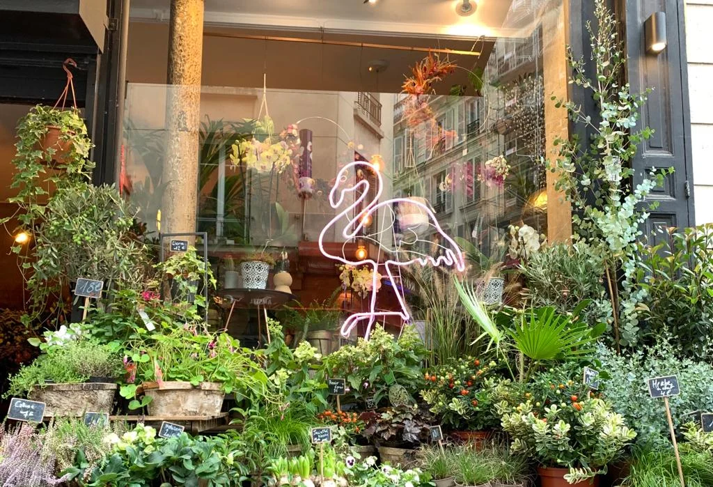 Adonis fleurs Paris | Fleuriste Paris - 5