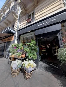 Adonis fleurs Paris | Fleuriste Paris - 6