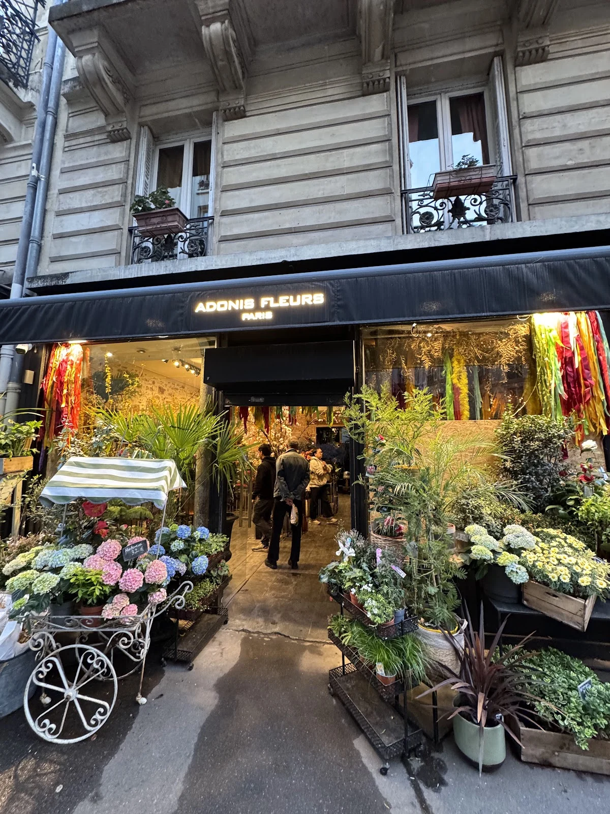 Adonis fleurs Paris | Fleuriste Paris