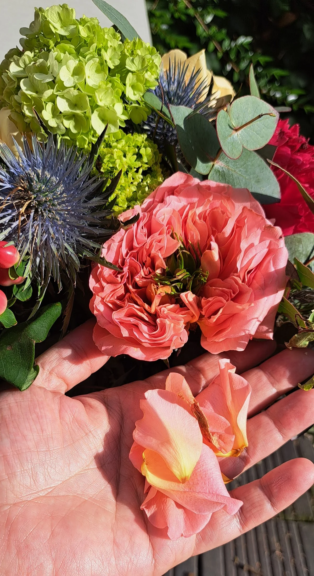 Air Blé Fleurs.. - 2