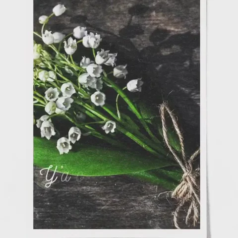 Alchimia Fleuristes - 3