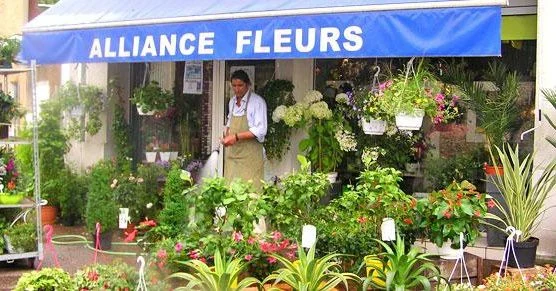 Alliance Fleurs - 2