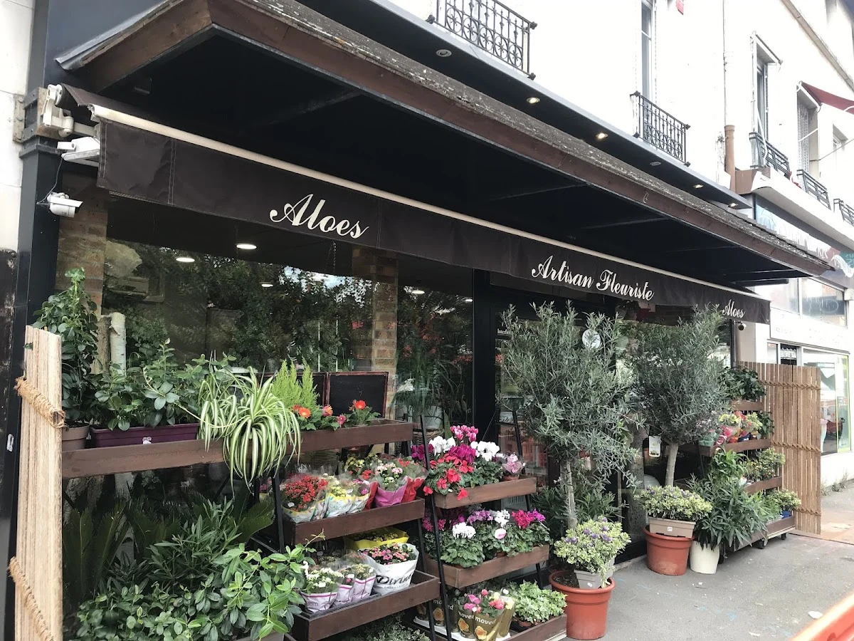 Aloes