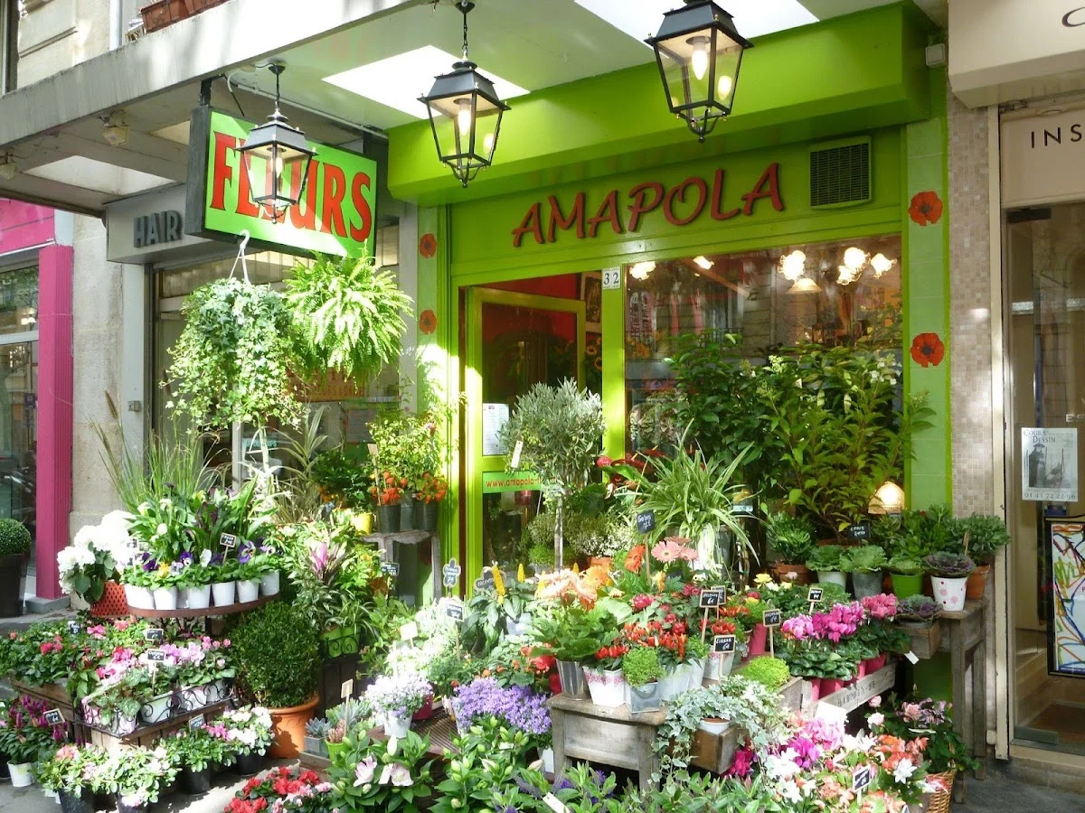 Amapola Fleuriste