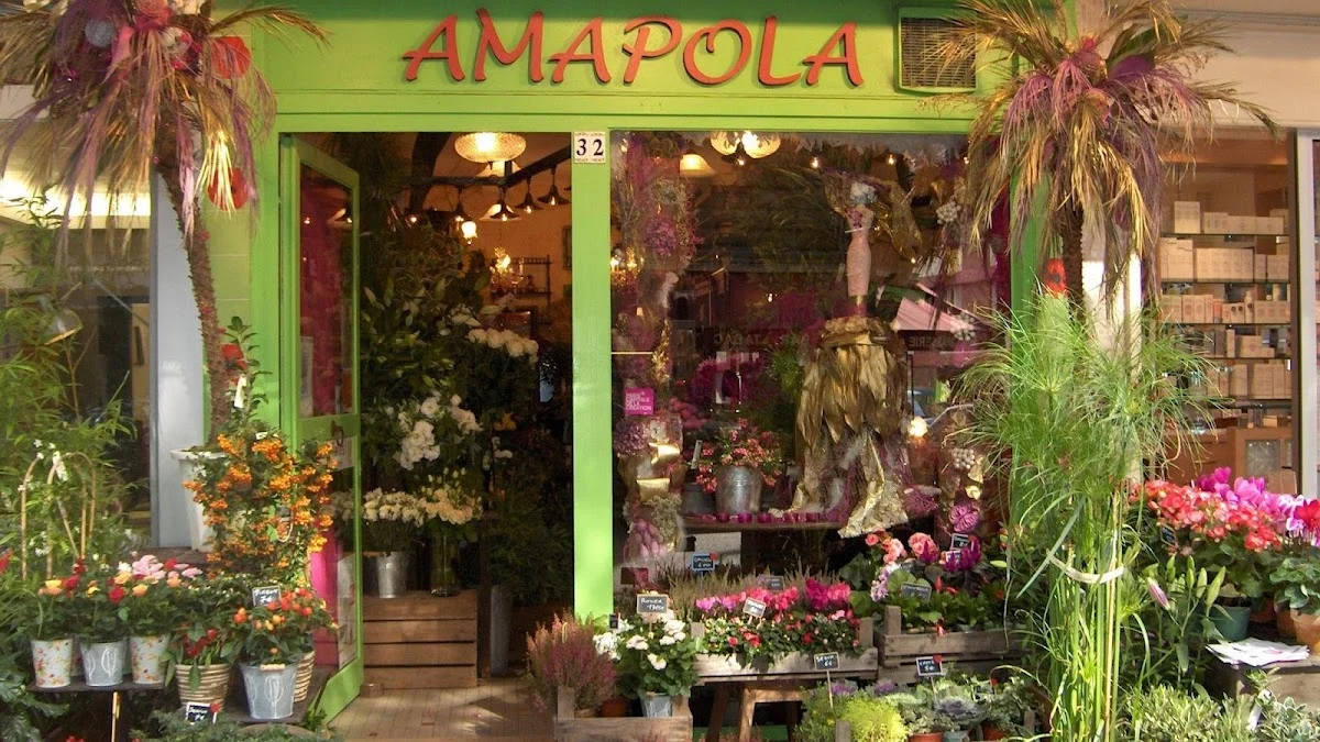 Amapola Fleuriste - 5