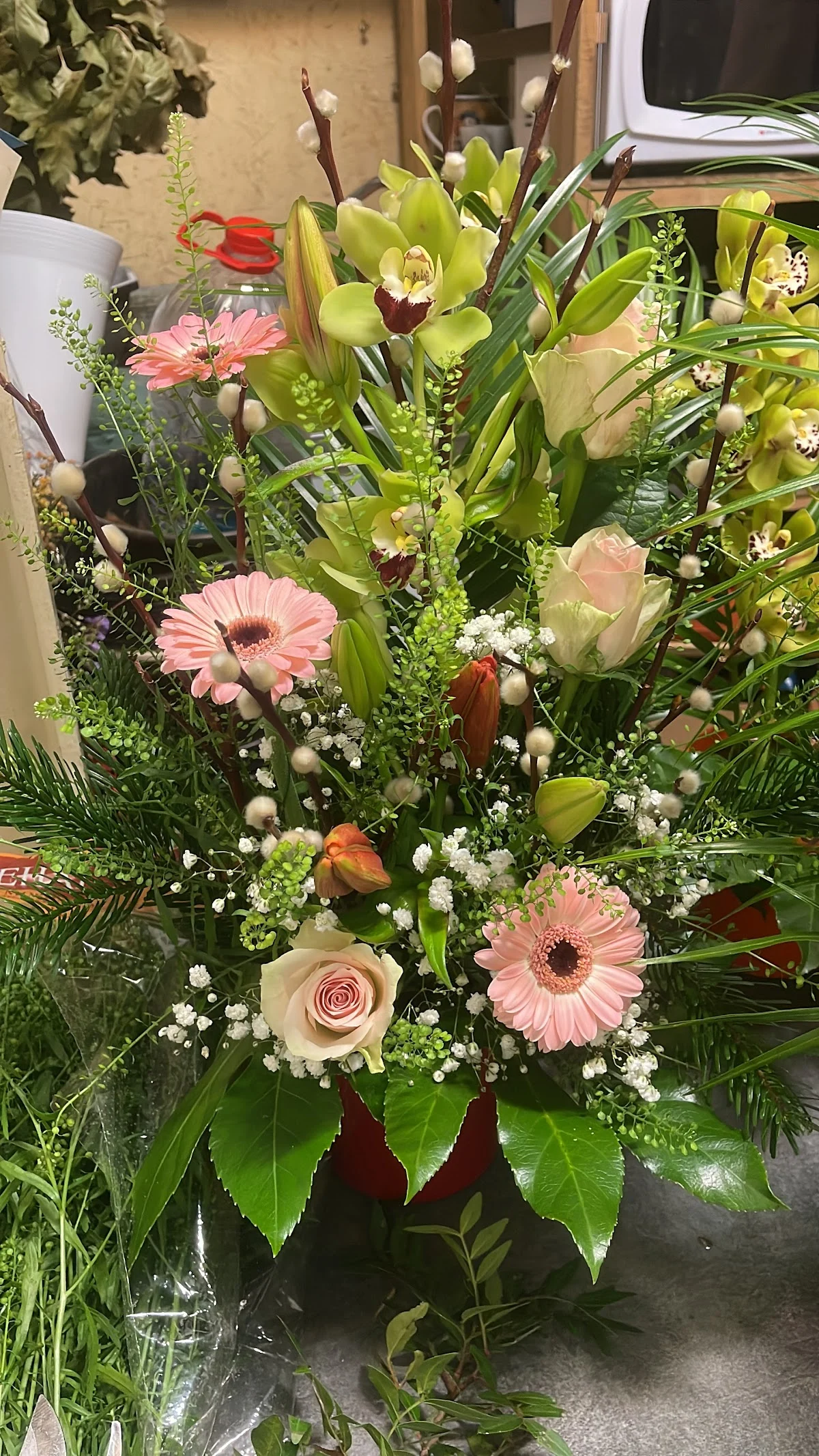 AMARYLLIS FLEURS - 3