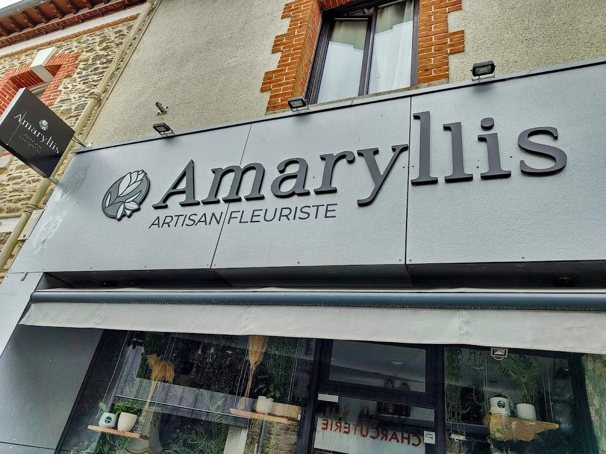 Amaryllis