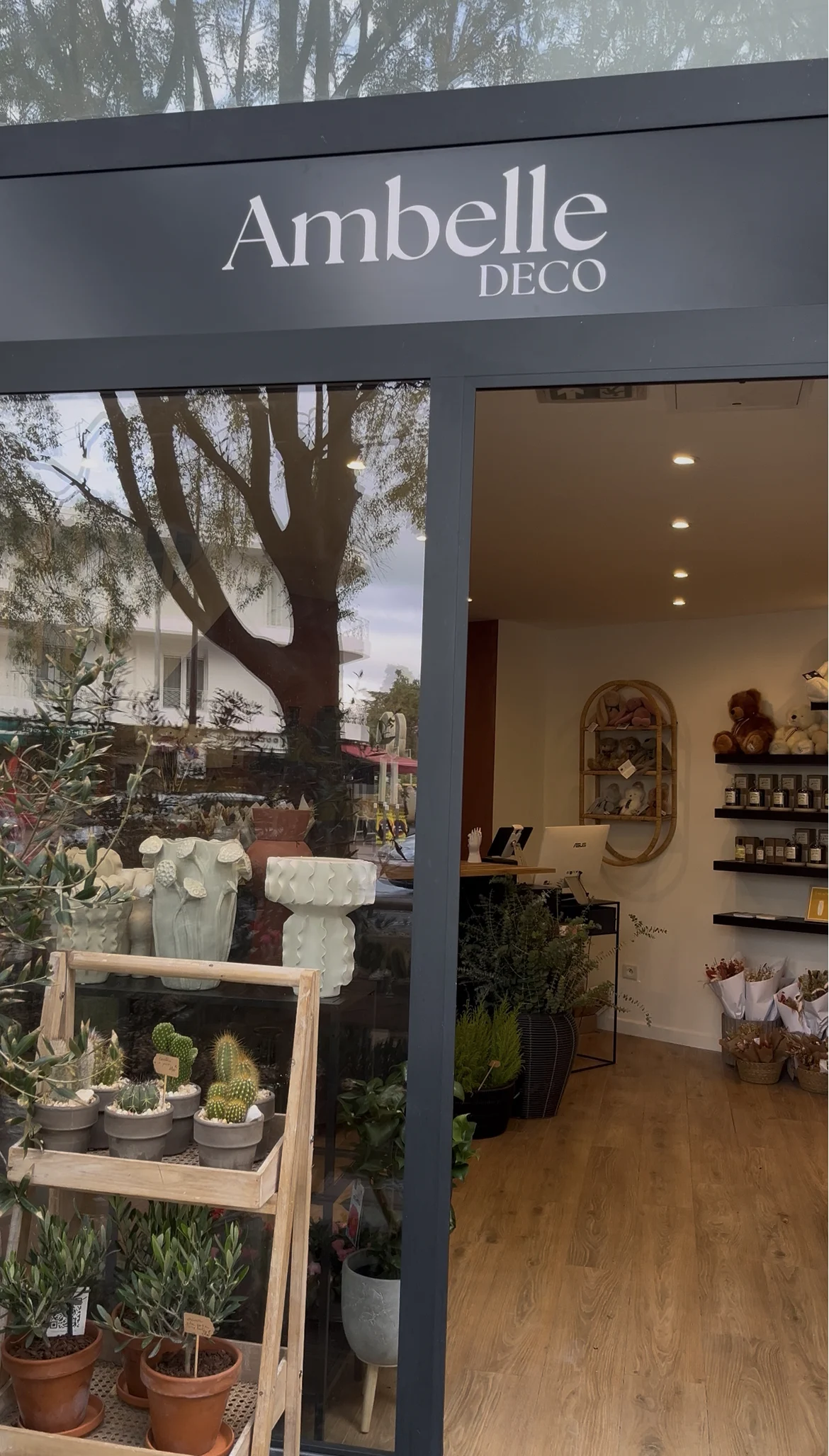 Ambelle Déco | Fleuriste Antibes