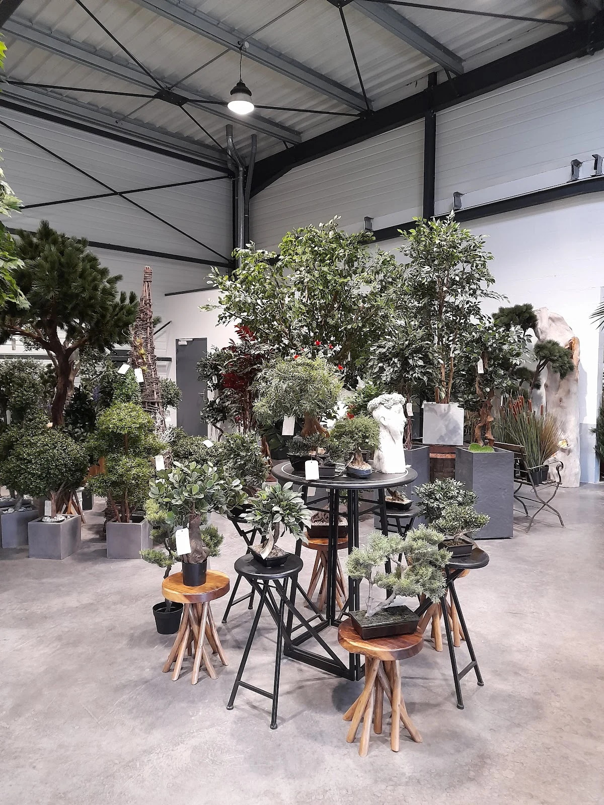 Ambiance florale Blois & Fleur Drive Blois - 2