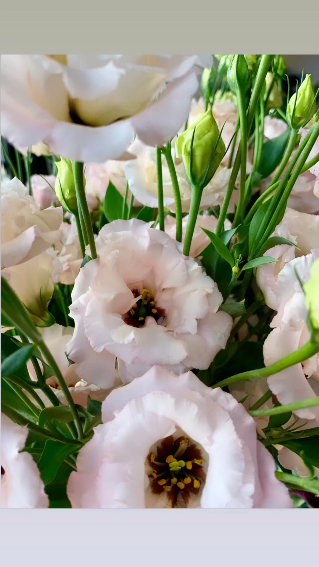 Amour de Fleurs by Jonathan G - 7