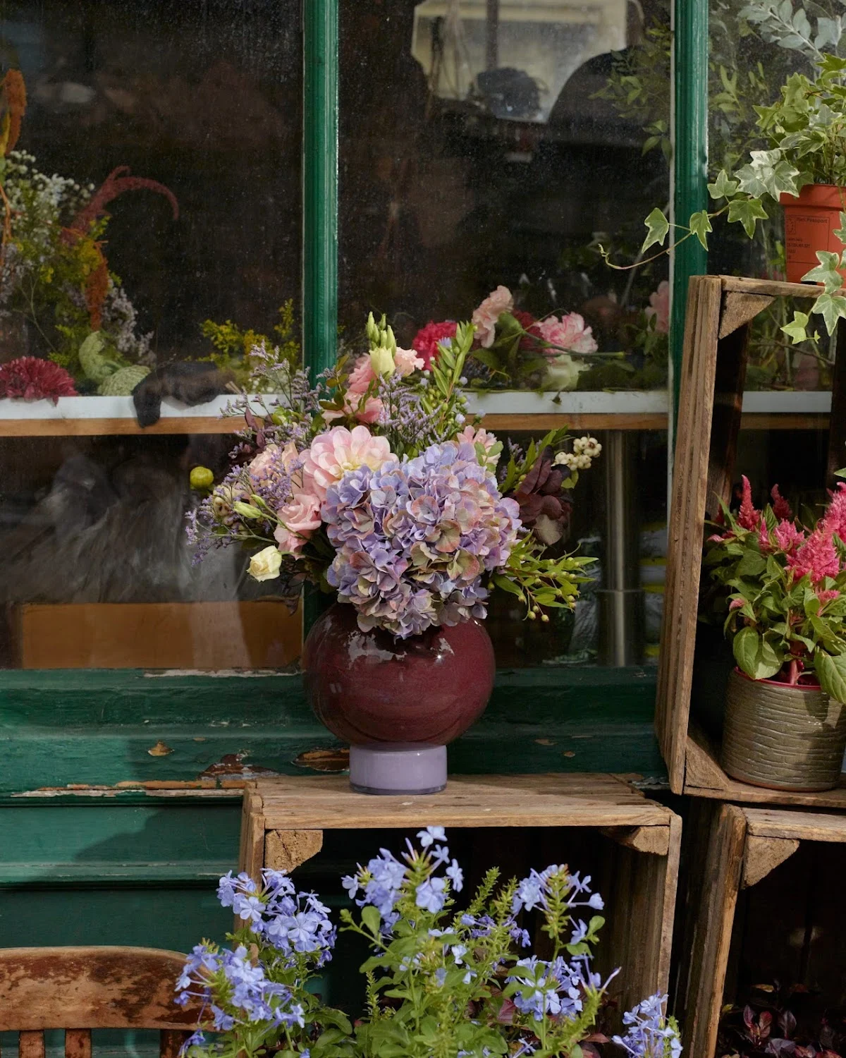 Amours Fleuris Noyon | Fleuriste Noyon - 2