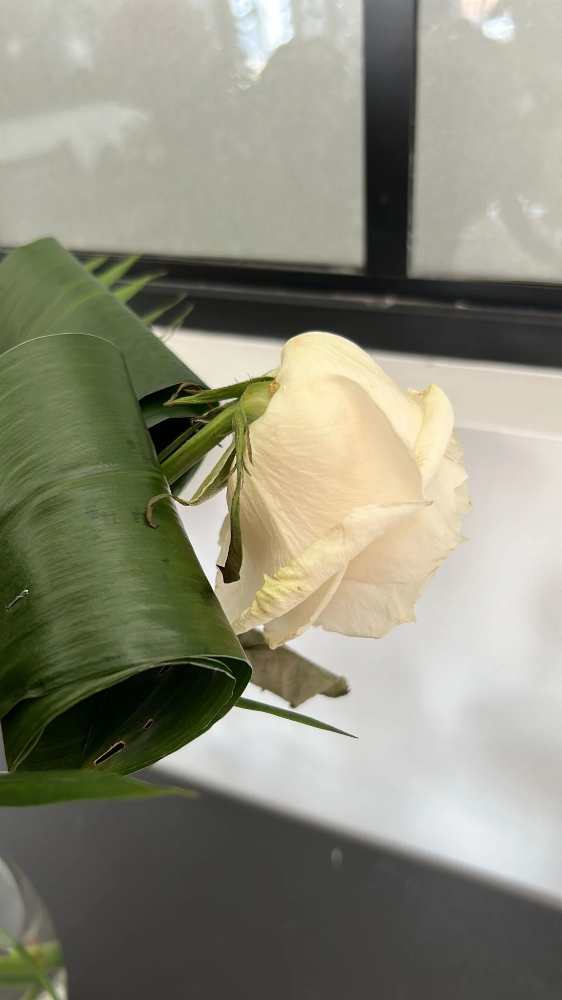Ana Flowers - 2