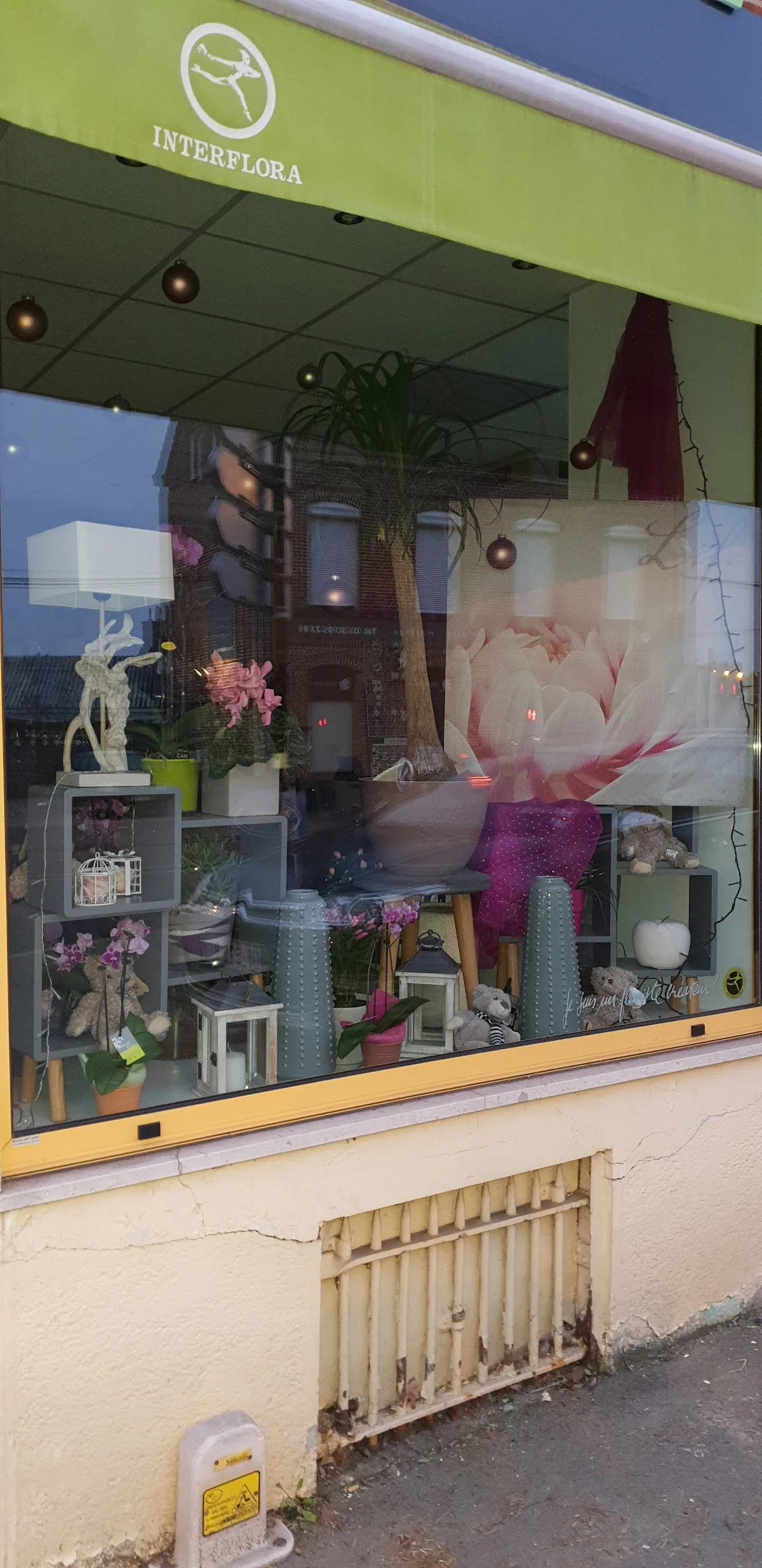 Anais Fleurs | Fleuriste Wattignies