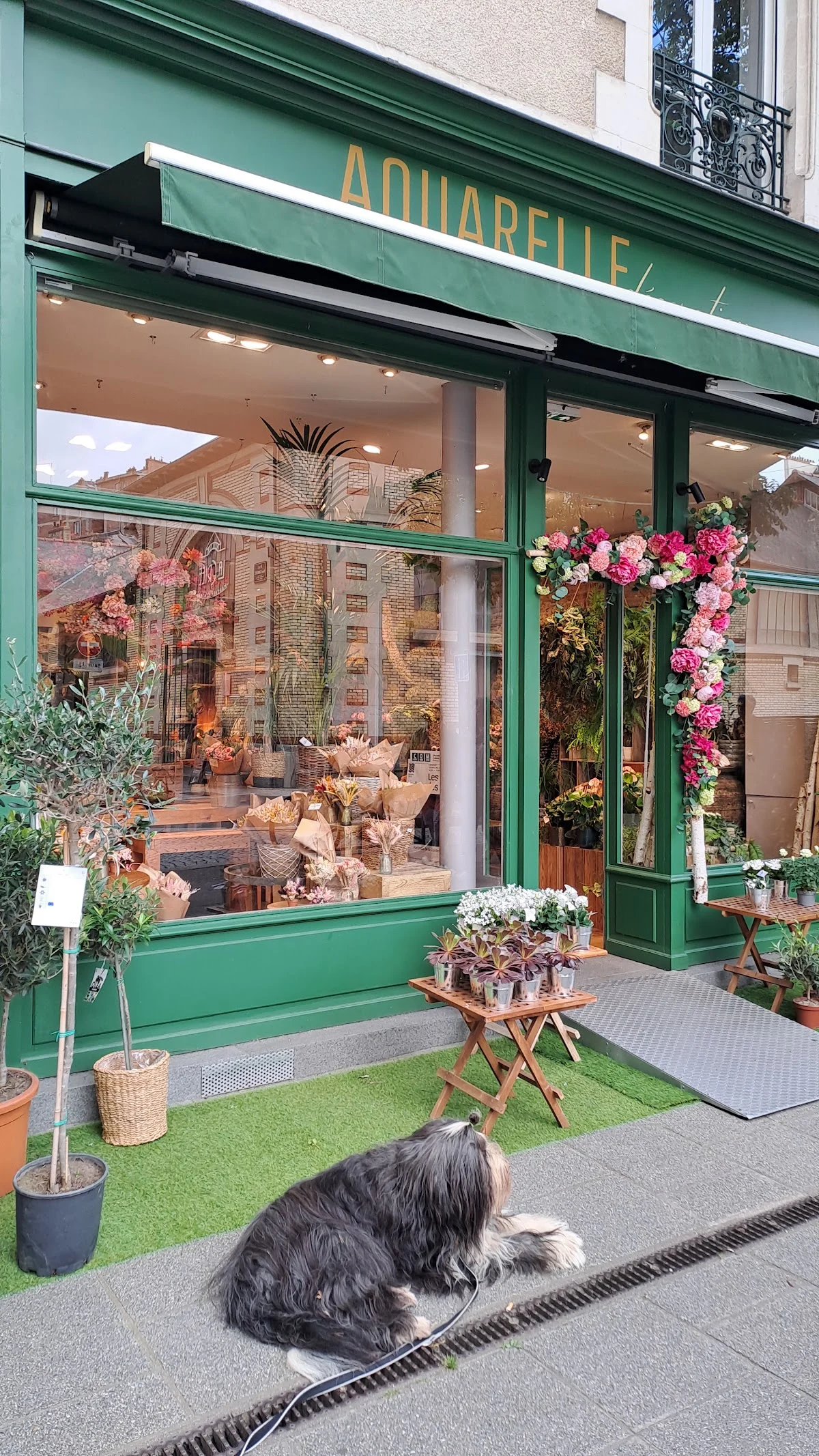 Aquarelle Fleuriste Rennes