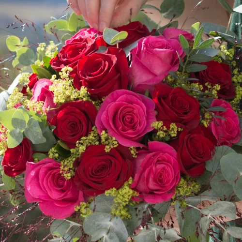 Armonie Fleurs, Fleury les Aubrais - Orléans - 4