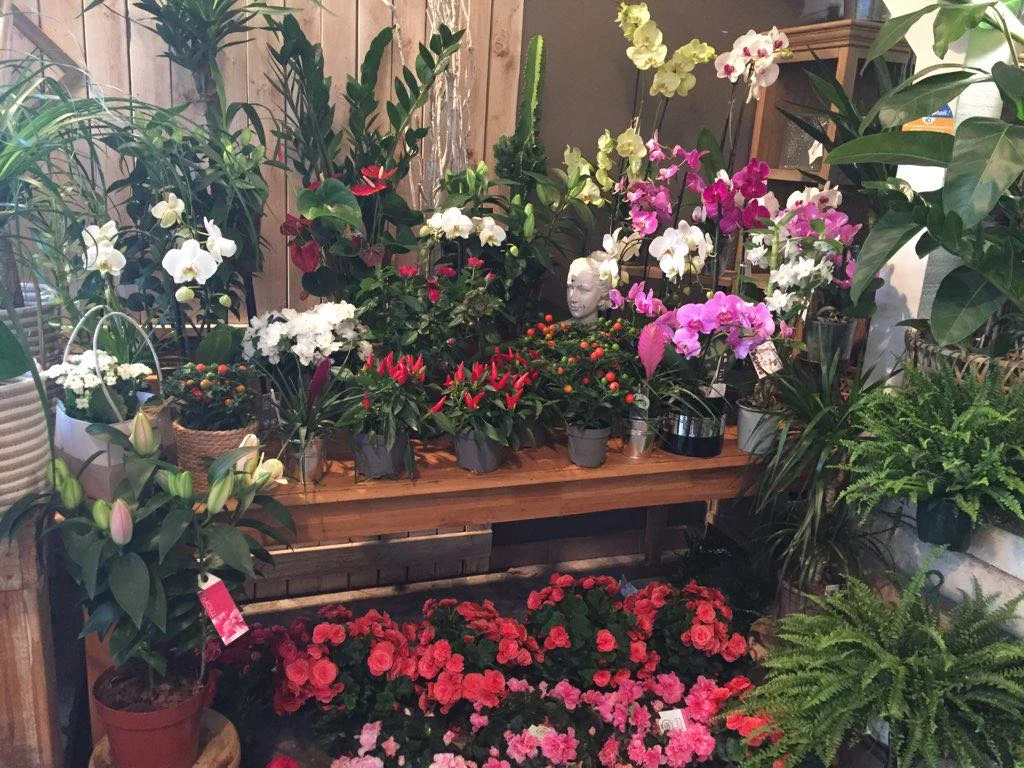 art deco fleurs - 3