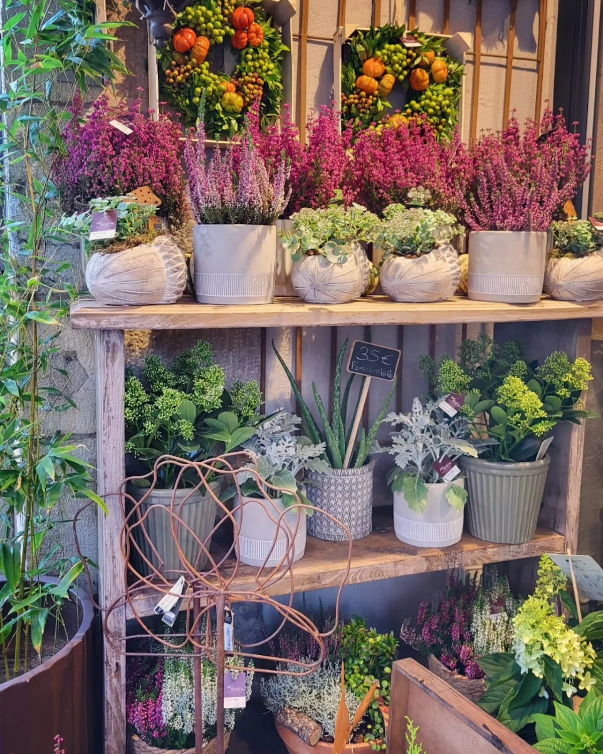 ART VEGETAL