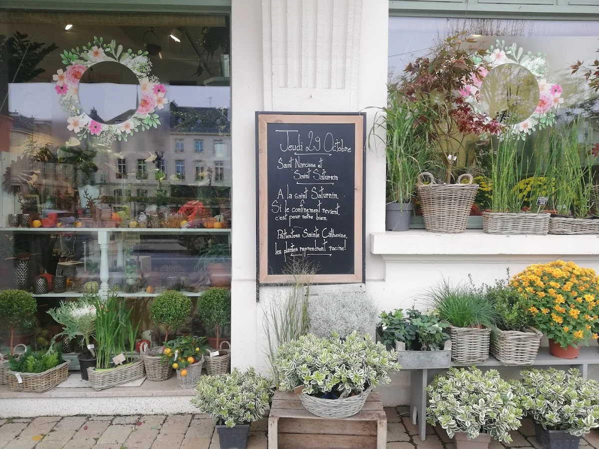 Artisan fleuriste "Centaurea"