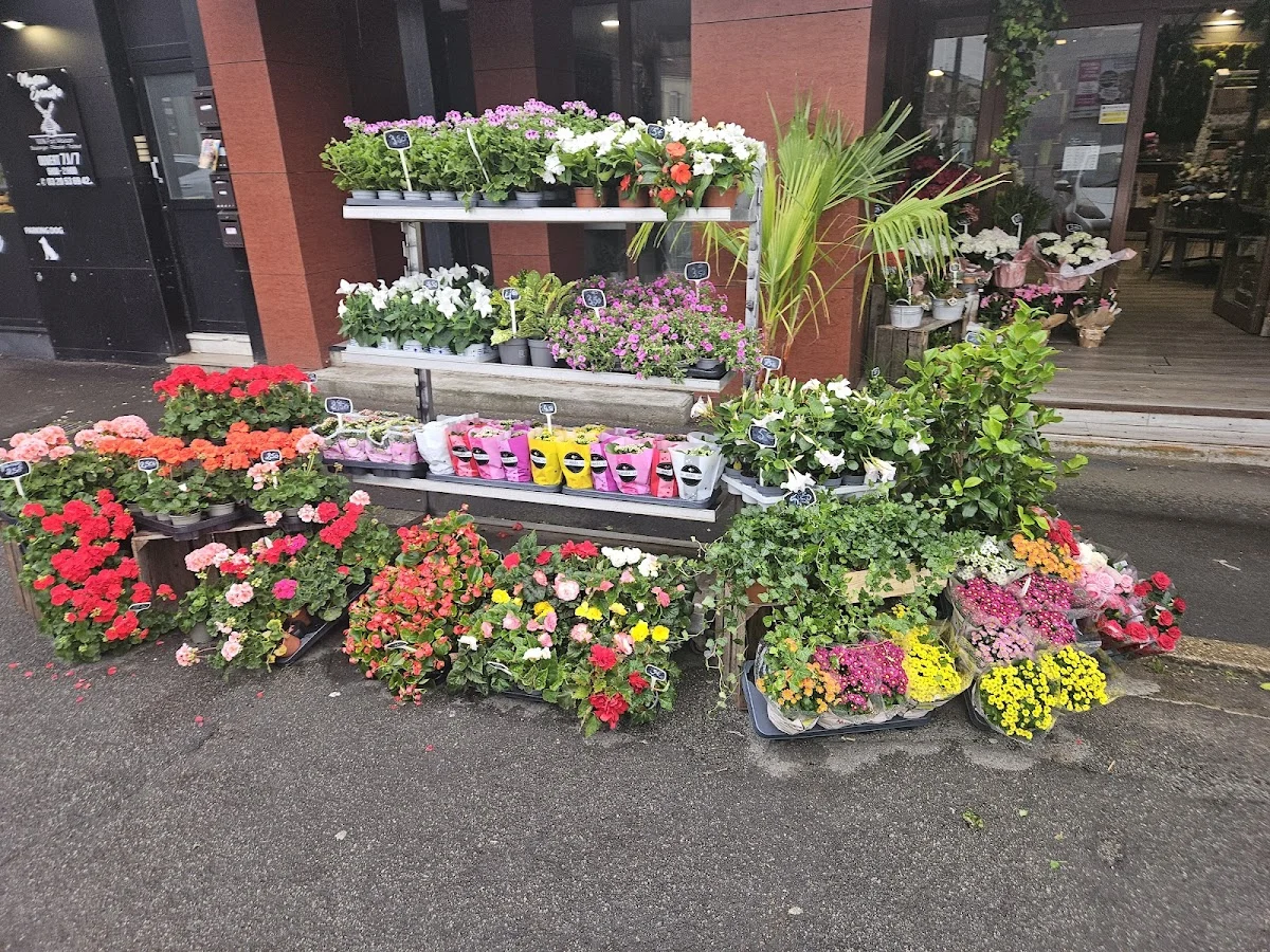 Artisan fleuriste Exotica - 4