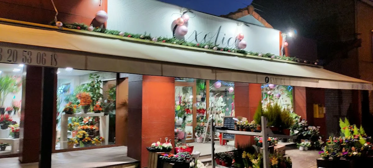 Artisan fleuriste Exotica