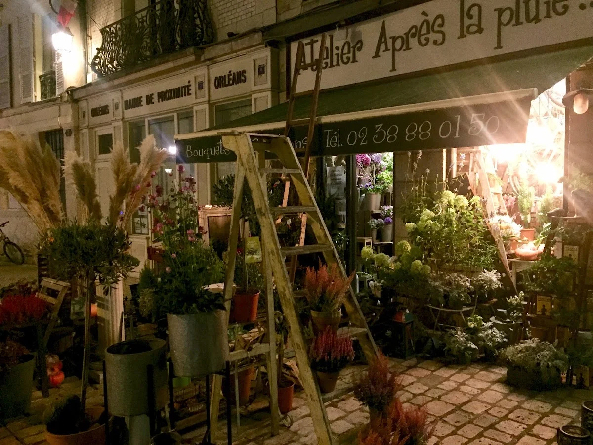 Atelier Après La Pluie, Fleuriste Orléans - 2
