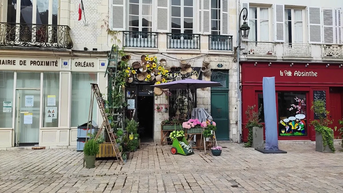 Atelier Après La Pluie, Fleuriste Orléans