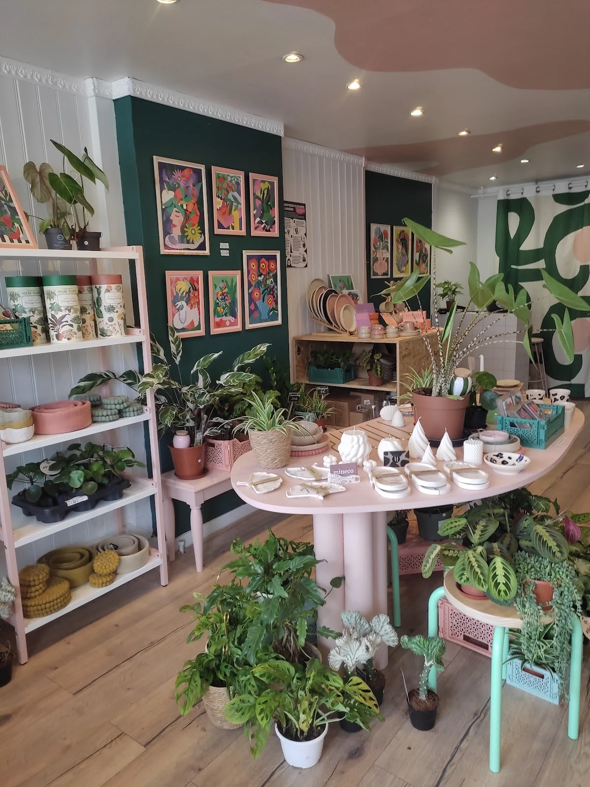 Atelier Blømeko Plantes - 2